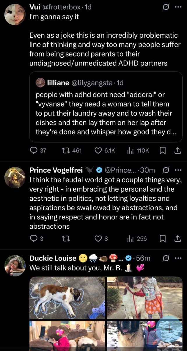 A screenshot of a mobile Twitter feed displaying three consecutive posts. The top post by user 'Vui' critiques a problematic line of thinking about ADHD partners, quoting a user named 'lillianne'. The middle post by 'Prince Vogelfrei' discusses the 'feudal world' and personal politics. The bottom post by 'Duckie Louise' features a photo grid of a dog and children.
