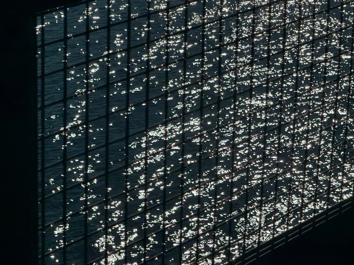 A photograph showing a view of a body of water through a dark metal grid or fence, with sunlight reflecting off the water's surface to create a sparkling pattern.