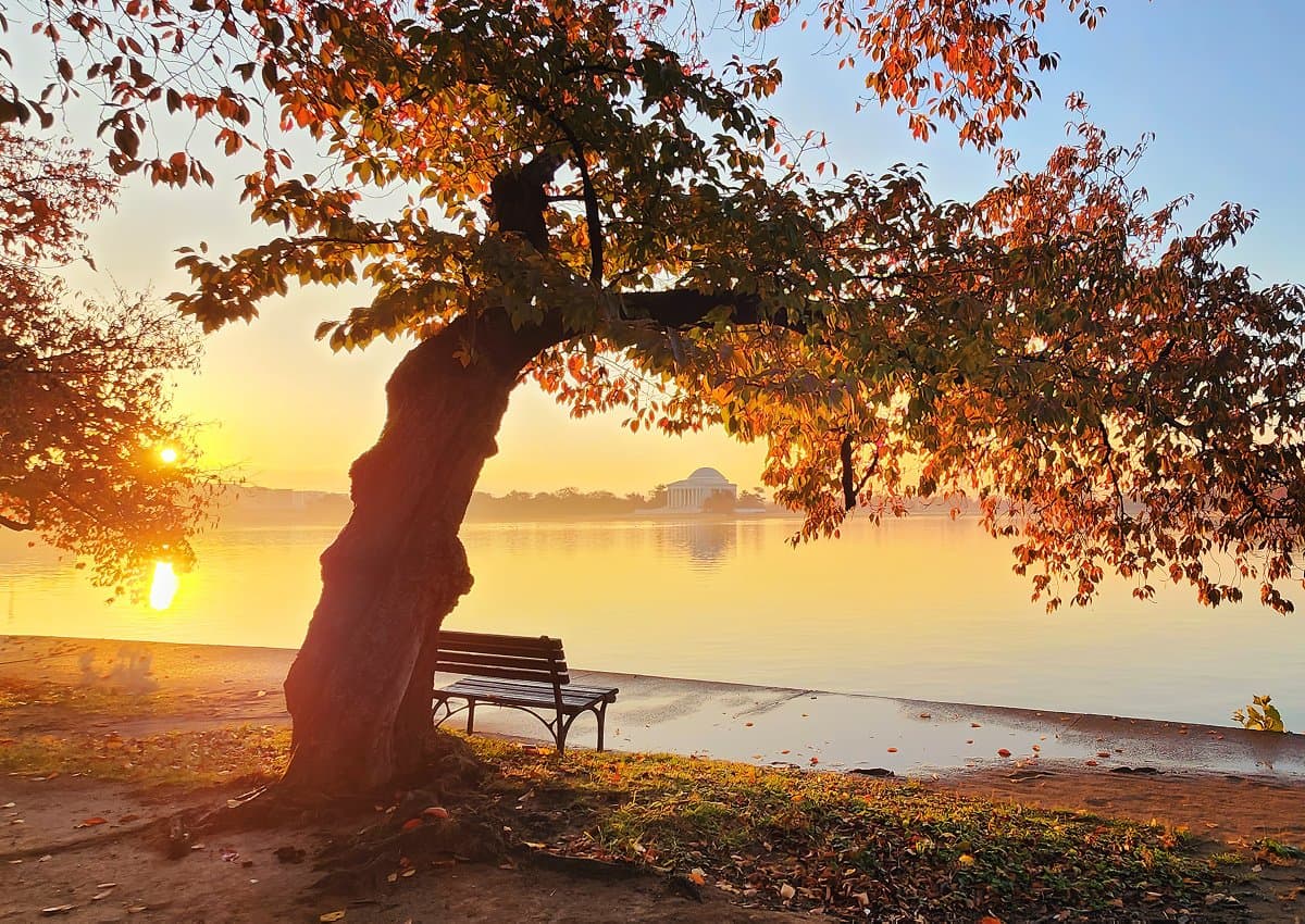 A scenic photograph of a sunrise over a body of water, featuring a large tree with autumn foliage and a wooden bench in the foreground. In the distance, a domed building is visible across the water through a light haze.