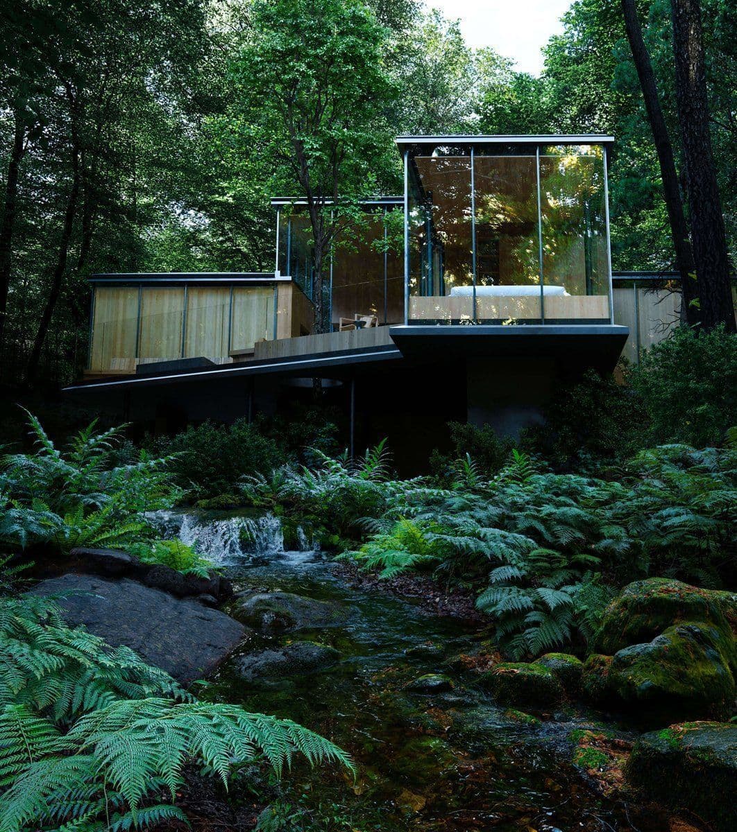 A modern, glass-walled house is built into a lush, green forest, featuring a cantilevered design that extends over a small, rocky stream. The structure is surrounded by dense trees and ferns, creating a serene and immersive natural setting.