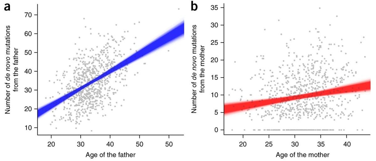 A two-panel scientific scatter plot comparing the number of de novo mutations from fathers and mothers against their respective ages. The left panel shows a strong positive correlation between paternal age and mutations, while the right panel shows a much weaker correlation for maternal age.