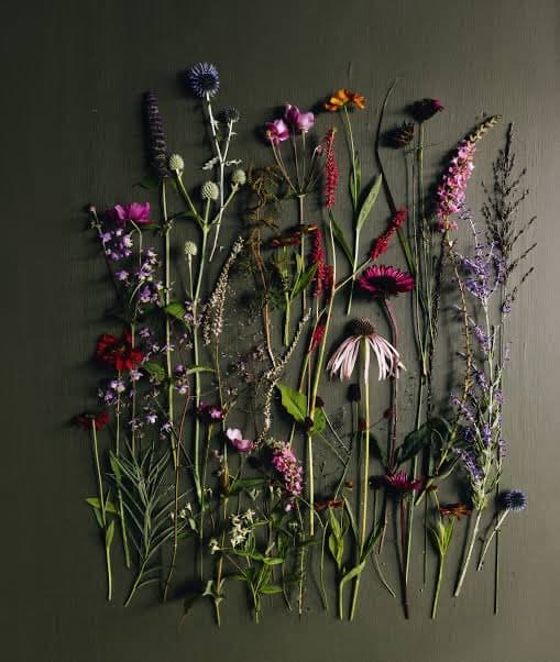 A collection of various wildflowers and herbs arranged vertically against a dark green background. The flowers include species such as echinacea, lavender, and coneflowers, displayed in a naturalistic, artistic composition.