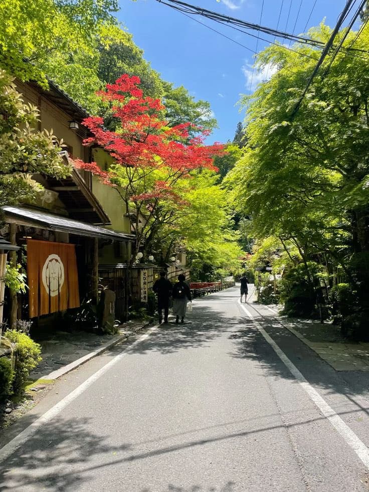 A scenic photograph of a quiet, tree-lined street in Kyoto, Japan, featuring traditional buildings, a vibrant red maple tree, and a few pedestrians walking on the road.