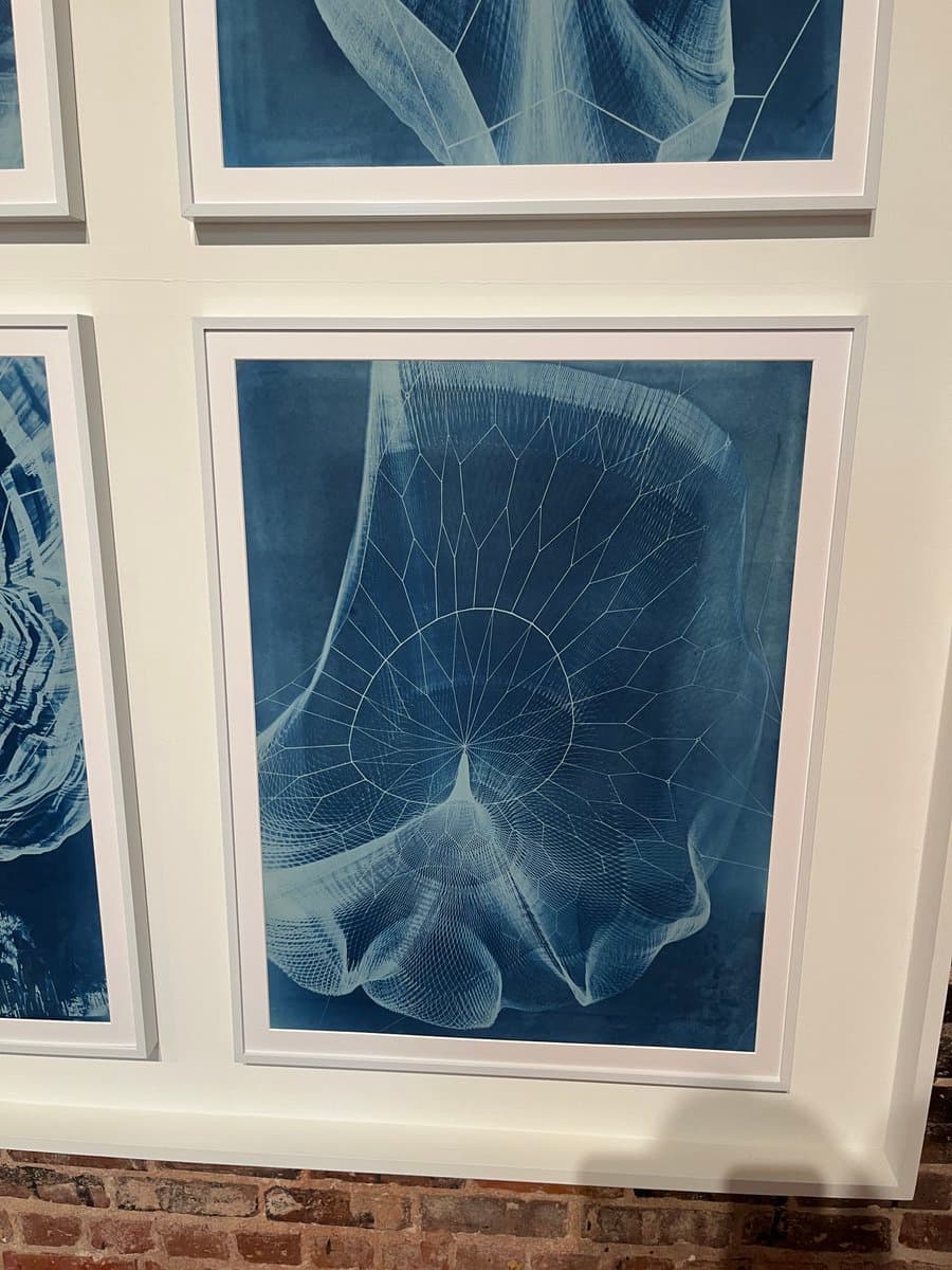 A framed blue and white artwork featuring a detailed, geometric cross-section of a nautilus shell is displayed on a white wall above a brick ledge. The piece is part of a gallery installation, with other similar framed prints visible in the surrounding space.