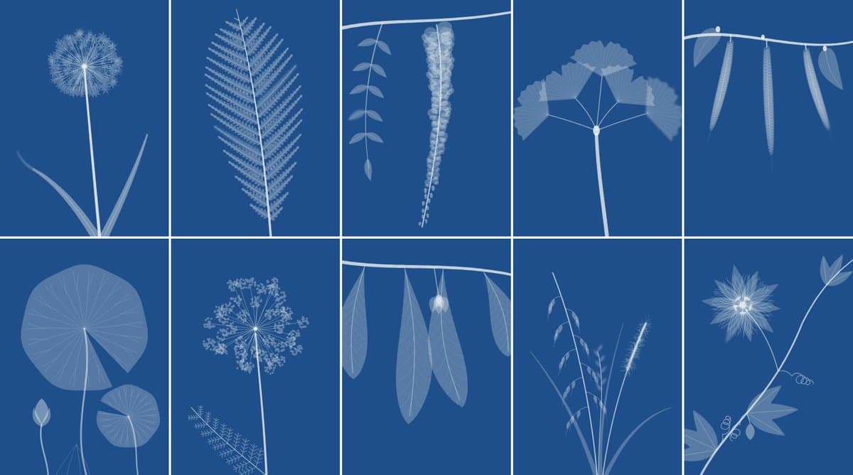 A grid of ten square panels featuring minimalist, white line-art illustrations of various plants and botanical elements, such as ferns, dandelions, and leaves, set against a solid blue background.