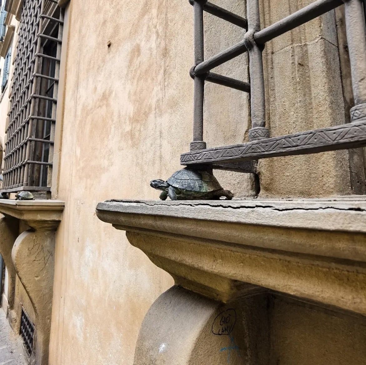 A photograph of a building's exterior wall featuring small, decorative stone turtles placed on a ledge and a window sill. The image highlights these hidden architectural details against a textured, beige plaster surface with iron window grilles.