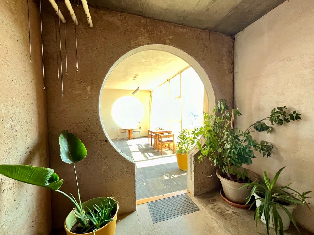 A photograph of a rustic interior space with textured, earth-toned walls and a large circular doorway leading to a sunlit room. Several potted plants, including a banana plant and a spider plant, are arranged in the foreground and along the walls.